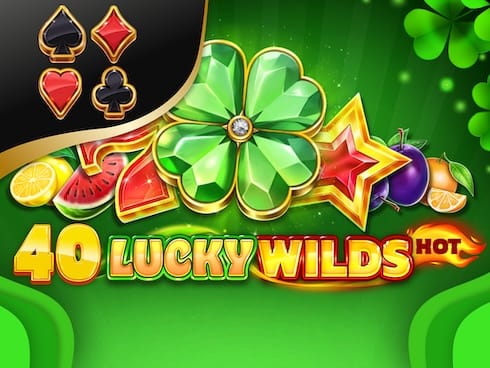 40 Lucky Wilds Hot screenshot